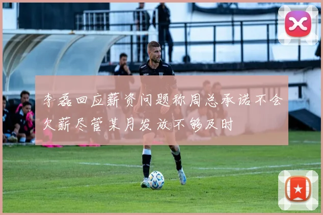 李磊回应薪资问题称周总承诺不会欠薪尽管某月发放不够及时