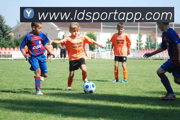 乐动体育品牌故事