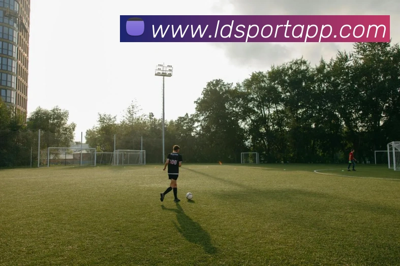 乐动体育服务体系