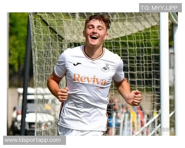 斯旺西队在英冠排名第18考虑解雇主教练艾伦希恩以寻求改变 斯旺西队在英冠排名第18考虑解雇主教练艾伦希恩以寻求改变